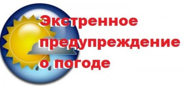 164751_600.jpg