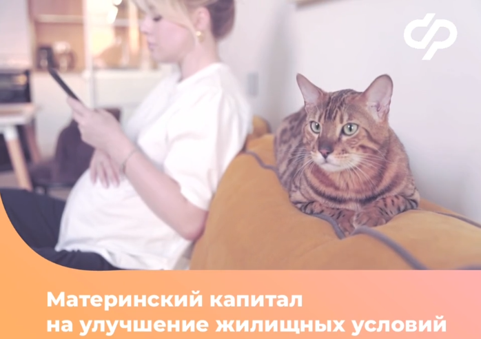 msk_feder.png